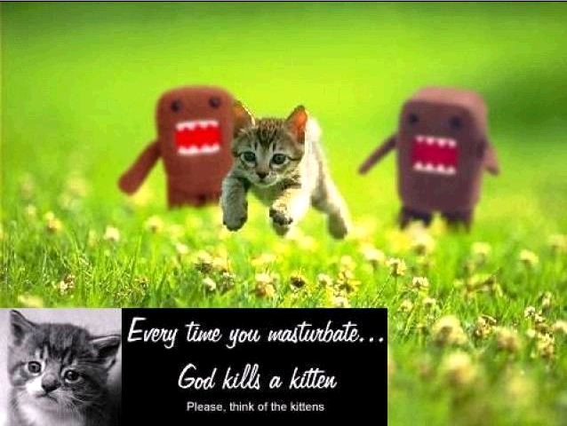 Every Time you masturbate God kills a kitten