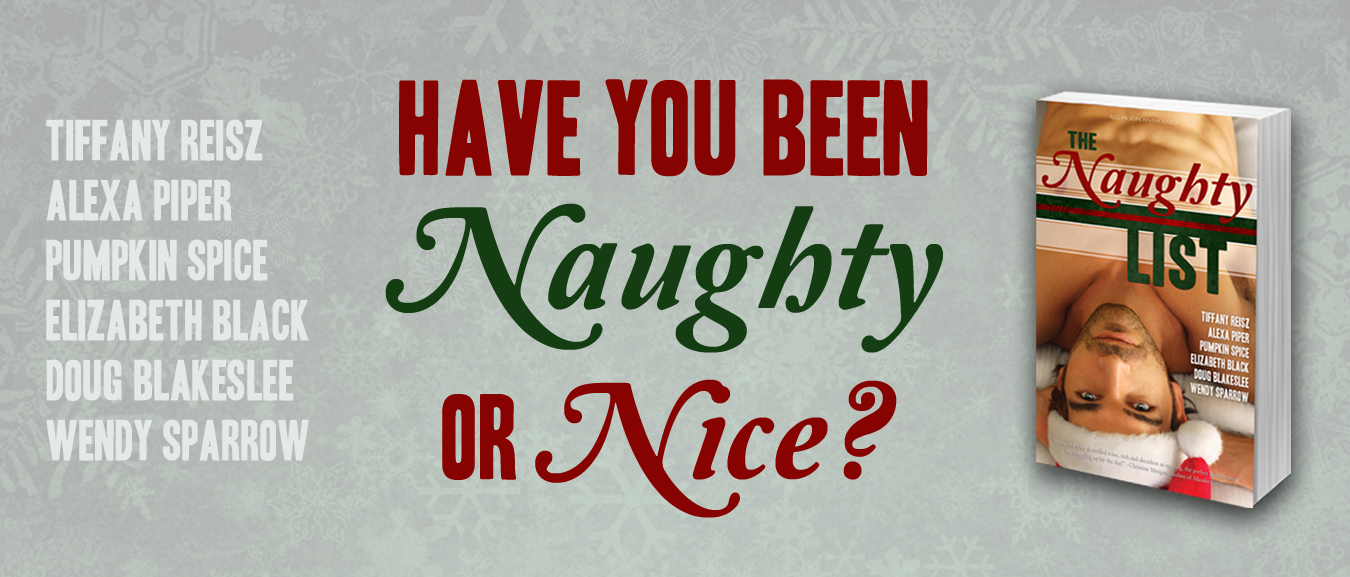 NAUGHTY LIST banner